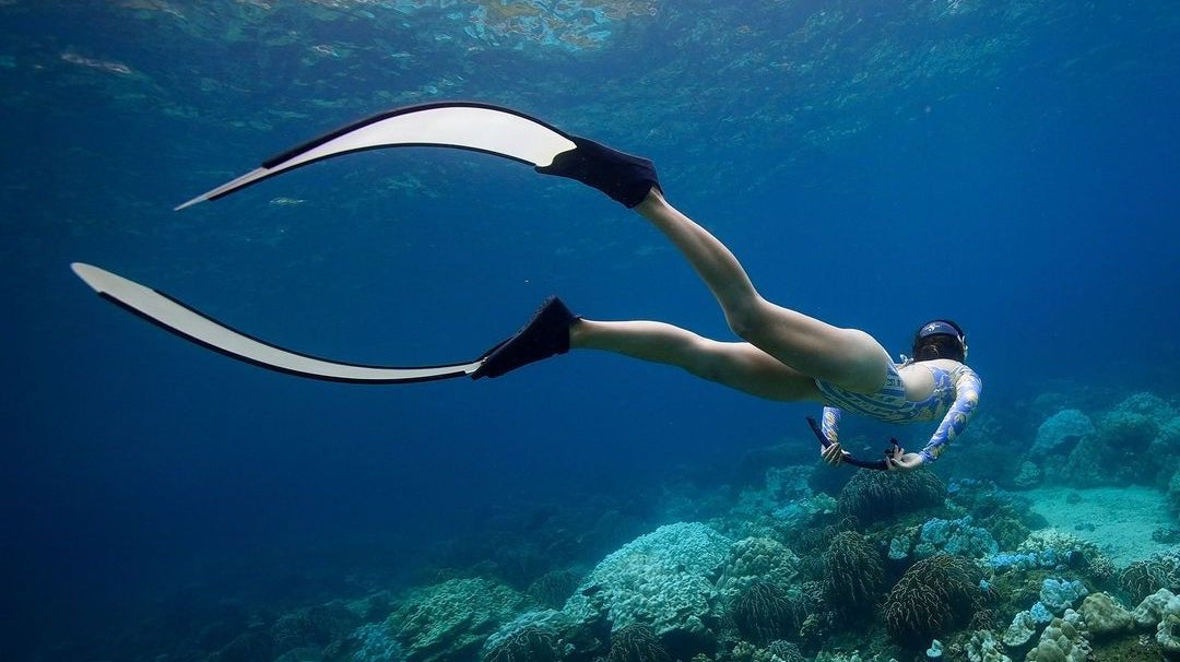 การเตรียมตัวสำหรับ Free Diving เครื่องแต่งกาย และอุปกรณ์ที่จำเป็น