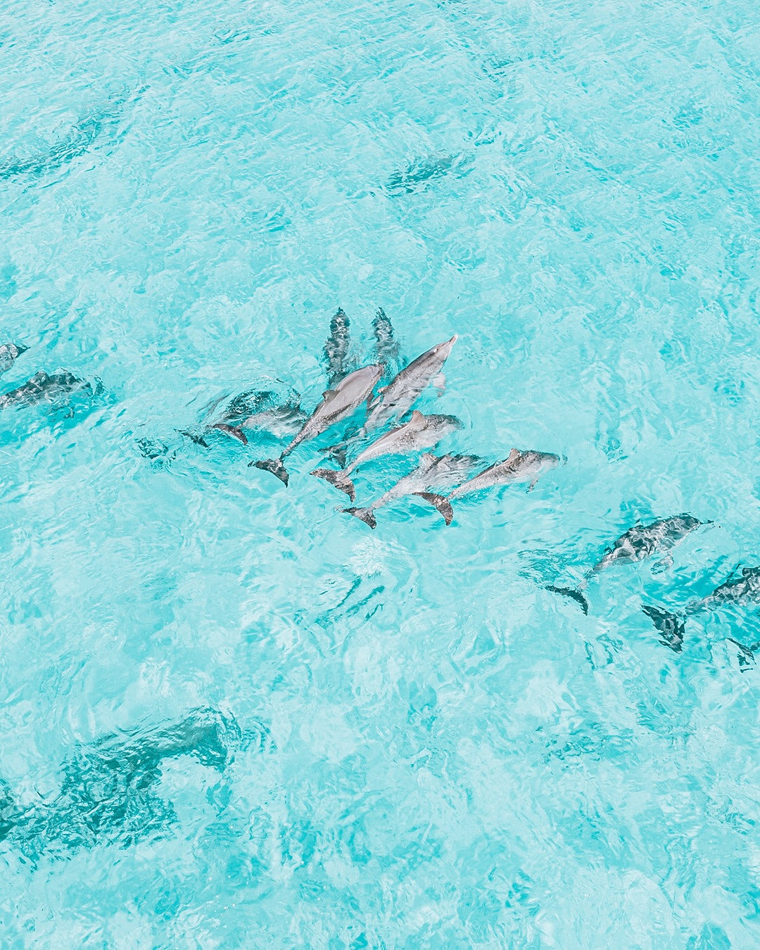 แชร์ 5 จุดดำน้ำลึก (Scuba Diving) ที่สวยที่สุดในไทย พร้อมแนะนำไอเทม Ripcurl ที่เหมาะกับการลงน้ำ