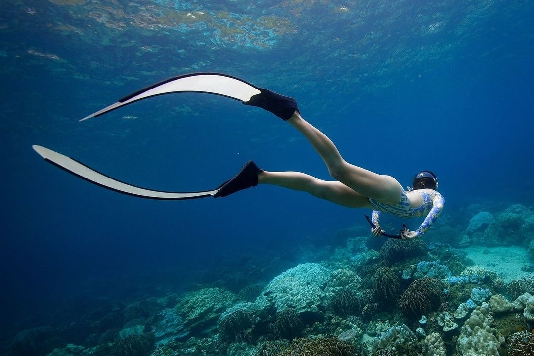 Snorkelling